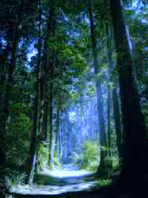 Generic placeholder thumbnail